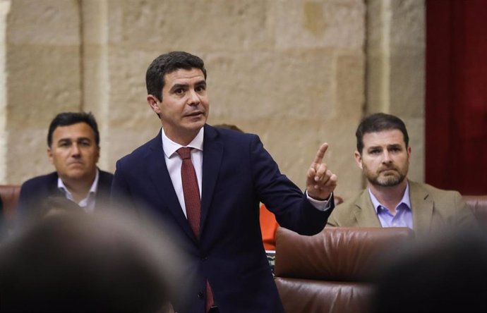 El portavoz parlamentario de Ciudadanos (Cs), Sergio Romero, en la sesión de control al presidente de la Junta, Juanma Moreno, en el Pleno del Parlamento.