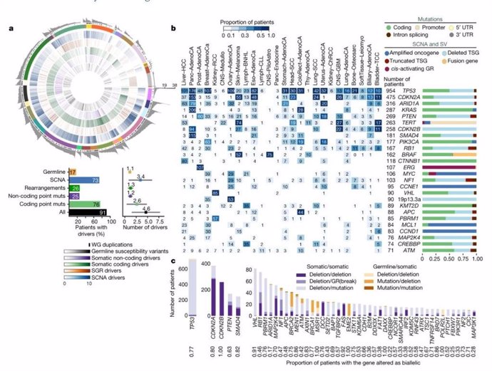 Imagen del 'mapa del cáncer' elaborado por el consorcio internacional de investigadores 'Pan-cancer'.