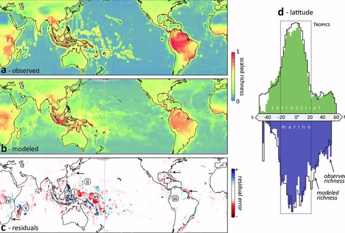 Primer mapa que unifica la biodiversidad terrestre y oceánica