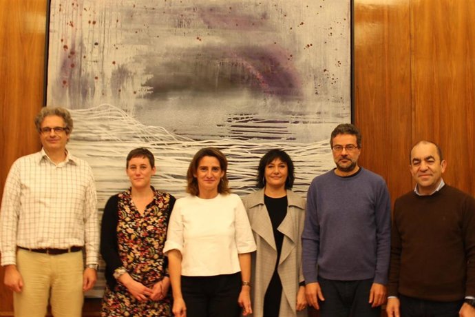 Los representantes de las organizaciones ecologistas, en su reunión con la vicepresidenta Teresa Ribera