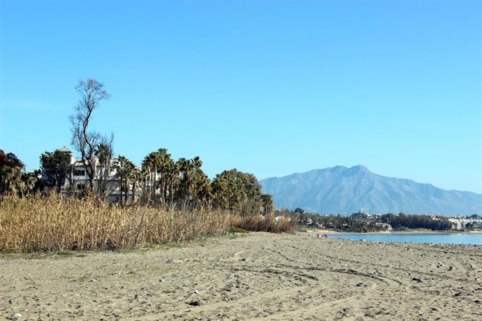 Málaga.- El Ayuntamiento de Estepona impulsa un nuevo tramo de corredor litoral que permitirá conectar diez kilómetros