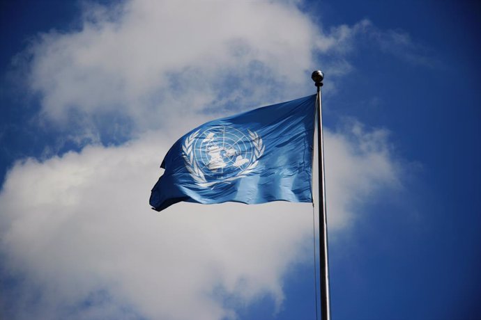 Bolivia.- Un relator de la ONU critica el uso de las instituciones en Bolivia "c