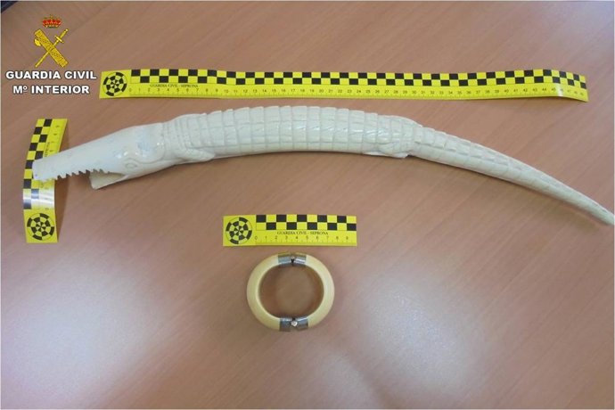 PIEZAS DE ESPECIES PROTEGIDAS VENDIDAS POR INTERNET