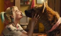 El secreto de la hiena de Harley Quinn en Aves de Presa