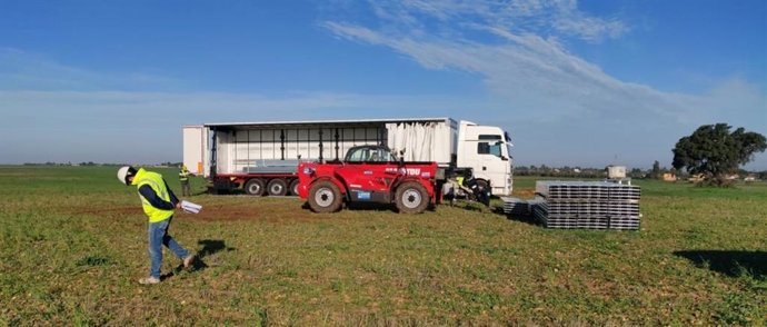 Obras de construcción de la planta fotovoltaica