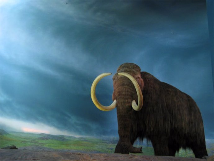 Resucitan los deficientes genes mutados de un mamut lanundo postrero