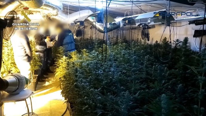 La Guardia Civil y la Europol desarticulan una organización internacional dedicada al narcotráfico