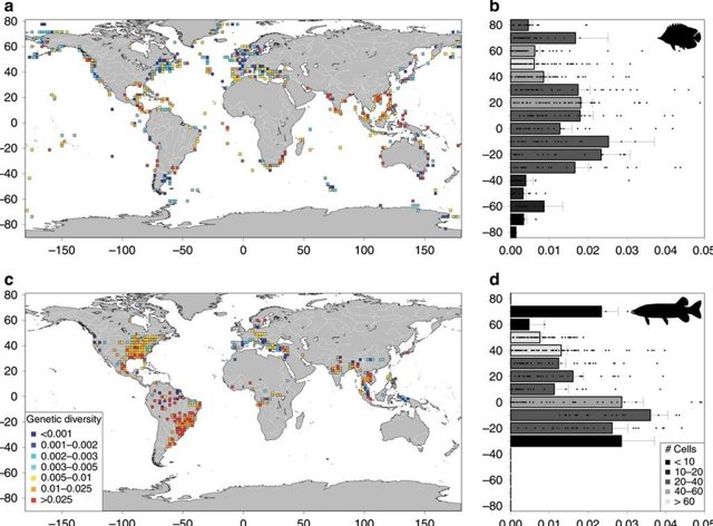 Patrones biogeográficos en la diversidad genética de peces de agua dulce y marinos.