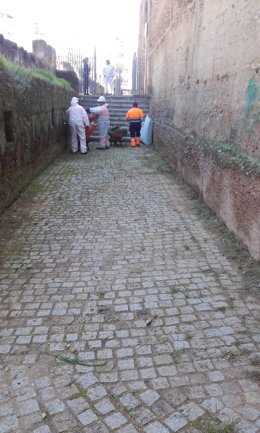 Limpieza de la muralla de la Macarena