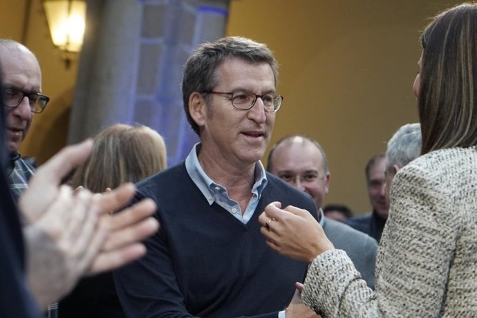 El president de la Xunta i del PP gallec, Alberto Núñez Feijóo, en un acte del partit.