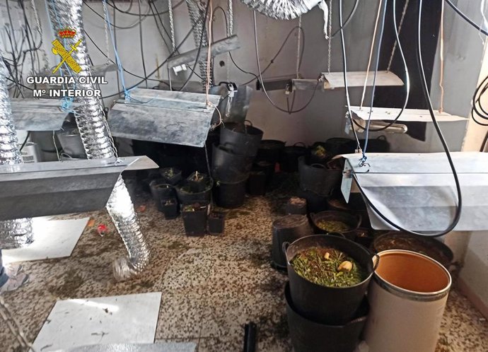 Material incautado por la Guardia Civil en el marco de la operación 'Vuelmiz'