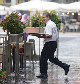 Camarero, bar, restaurante