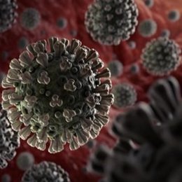 Experto en enfermedades infecciosas asegura que el coronavirus "no es un problem