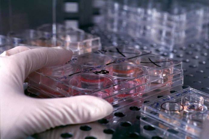 Imagen del tratamiento de muestras en el Biobanco de Granada
