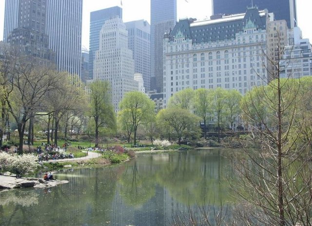 Central Park en Nueva York