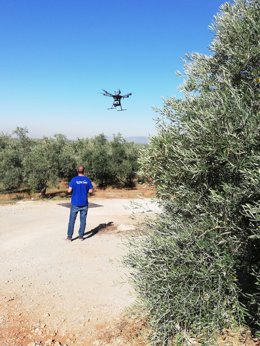 Uso de drones en la olivicultura