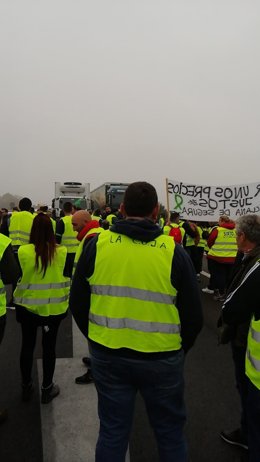 Córdoba.- Un grupo de agricultores corta el tráfico sin autorización en la A4 a 