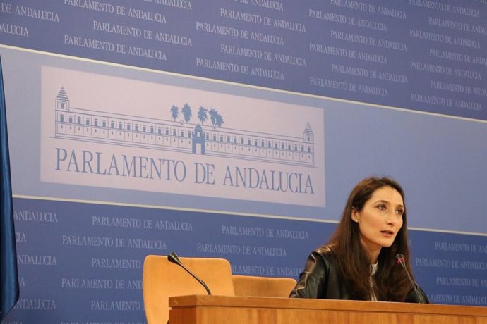La portavoz adjunta del grupo parlamentario de Ciudadanos (Cs), Mónica Moreno, en rueda de prensa en el Parlamento.