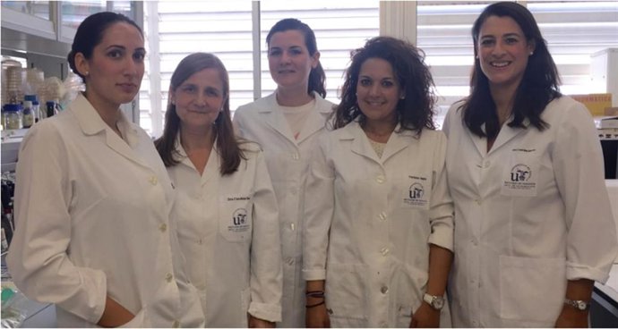 Un grupo de investigación de la US descubre una proteína en una bacteria que reduce la toxicidad del gluten