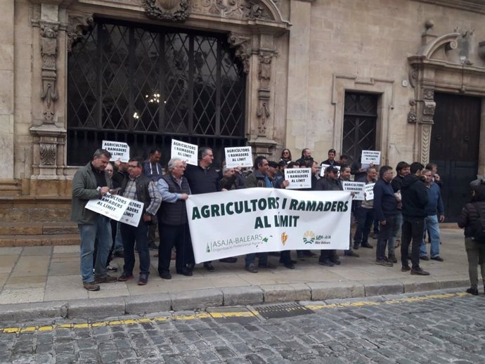 Asaja, Unió de Pagesos y AIA-UPA concentrados en Cort para pedir al alcalde de Palma que asuma la deuda del matadero.