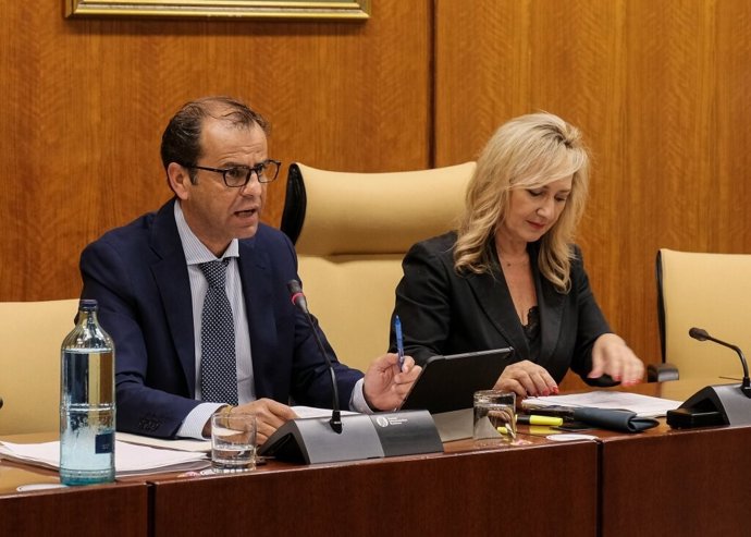 El director general de la RTVA, Juande Mellado, este miércoles durante su comparencia en comisión parlamentaria.