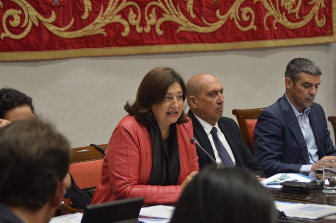 La consejera de Educación del Gobierno de Canarias, María José Guerra, en la presentación de los presupuestos en comisión parlamentaria