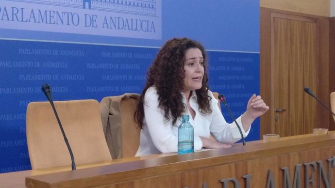 IU cree que da igual quién lidere Podemos porque el acuerdo en Adelante es "con el partido, no con Teresa Rodríguez"