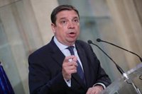 Planas pide coordinación a las CCAA para conseguir que agricultores y ganaderos perciban un "precio más justo"