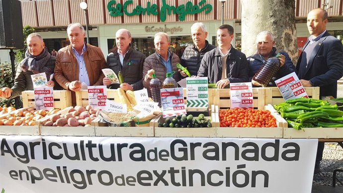 Granada.- El sector agrario llama a la "participación masiva" en gran tractorada