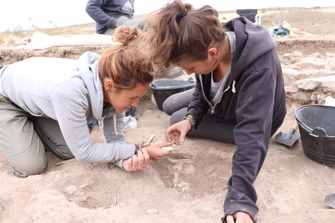 Excavación en una de los yacimientos del proyecto 'Eresma Arqueológico'.