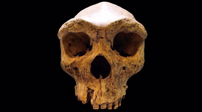Rastros en ADN de una población fantasma de antiguos humanos en África