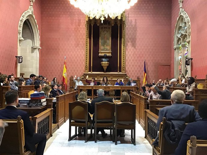 Pleno del Consell de Mallorca