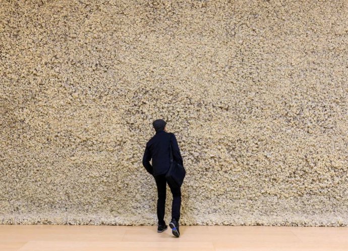 Obra de la exposición en Bilbao del danés Olafur Eliasson