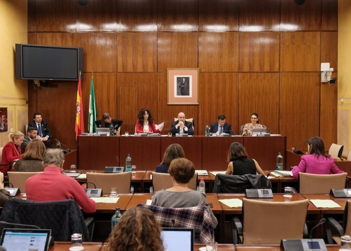 Imagen general de la comisión de Igualdad, que se ha reunión este jueves para la comparecencia de la consejera Rocío Ruiz.