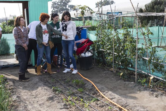 Diputación apuesta por la agricultura ecológica en huertos urbanos para superar adicciones
