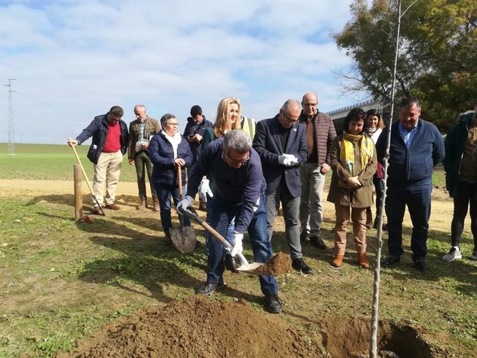 Visita a Alcalá de Guadaíra