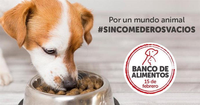 Banco de Alimentos