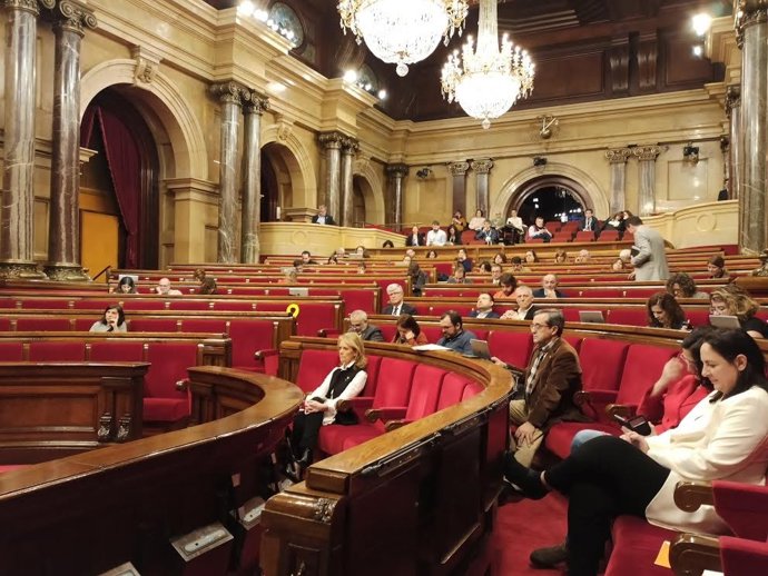Pleno del Parlament de 13 de febrero de 2020.