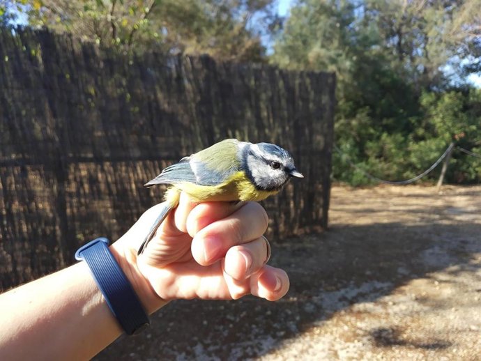 Laguna de Fuente del Rey