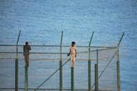 Abogados expertos en Extranjería reciben con "tristeza" el fallo de Estrasburgo y reclaman vías legales de acceso