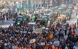 El campo valenciano toma las calles por su futuro y exige medidas al Gobierno: "Pedro, ayúdanos o pereceremos" Tractorada en València en favor del futuro del sector