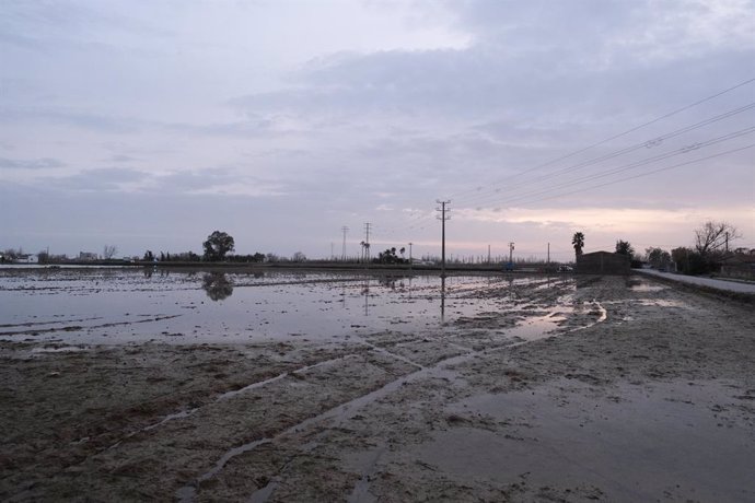 Zona propera a Riumar (Tarragona), al delta de l'Ebre, inundada por la borrasca Gloria.
