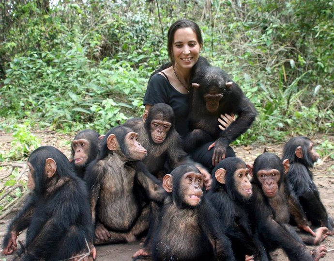 La directora del instituto Jane Goodall en República del Congo, Rebeca Atencia,  junto a los chimpancés del Centro de Rehabilitación de Tchimpounga.