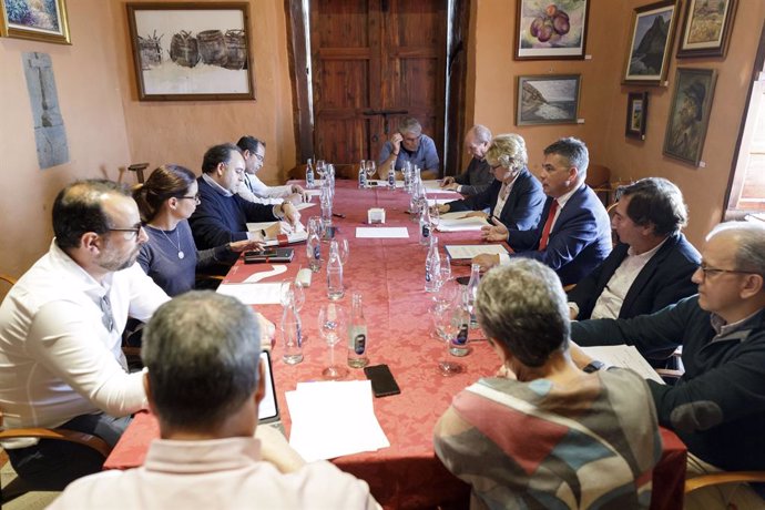 El Cabildo de Tenerife reúne a la Mesa Insular del Vino por primera vez desde 20