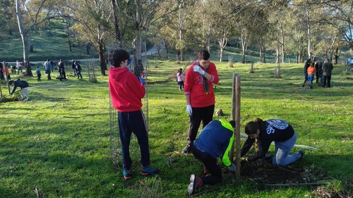 Voluntarios plantan árboles en la comarca del Ambroz