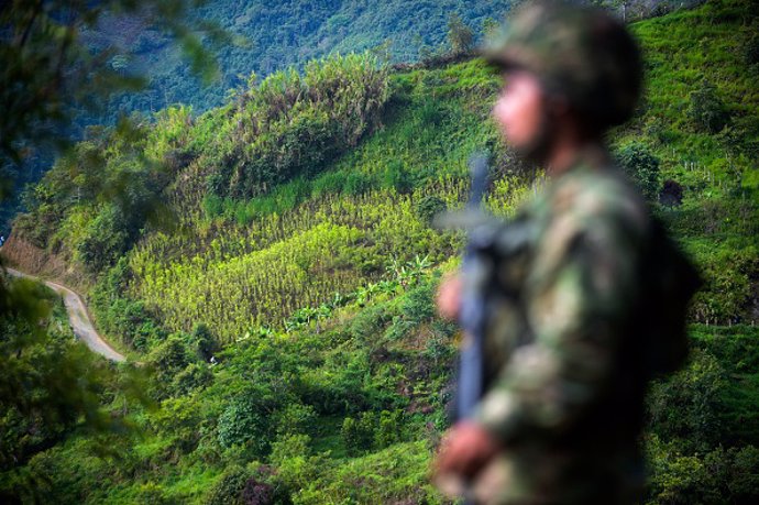 Imagen de un combatiente del Ejército de Liberación Nacional (ELN) de Colombia. 