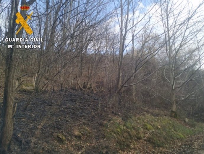 Incendio en una zona de matorral entre Dantxarinea y Zugarramurdi