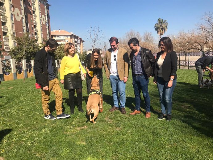 Jaén.- Ayuntamiento pone en el bulevar el primer parque canino adaptado y estudi