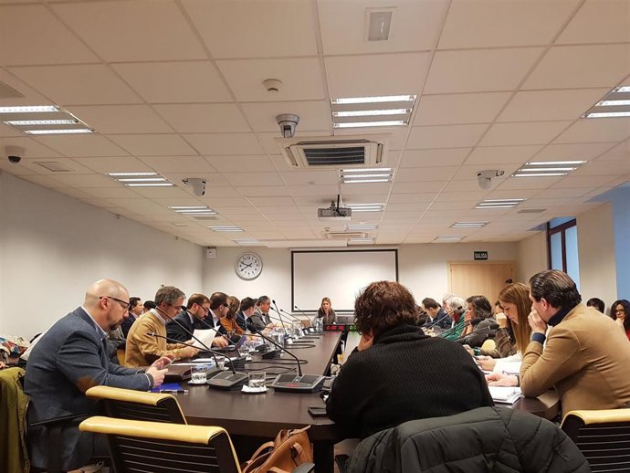Comisión de Desarrollo Urbano del Ayuntamiento de Madrid.
