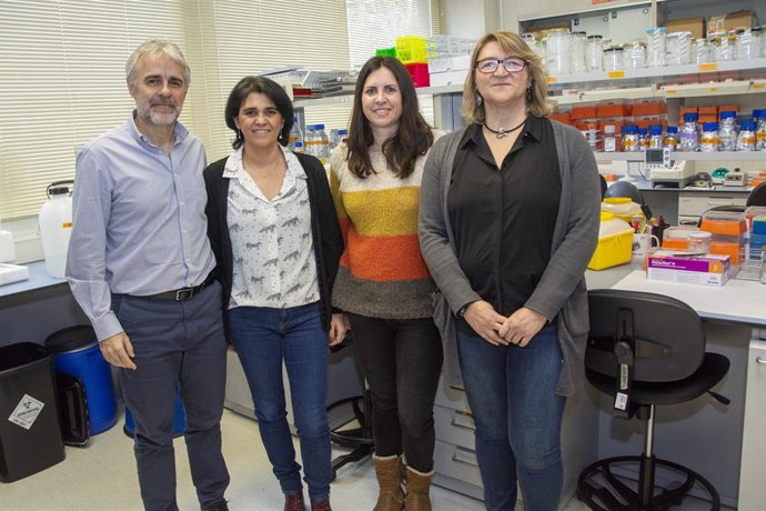 Investigadores del ISCIII generan hígados en miniatura para mejorar el estudio d